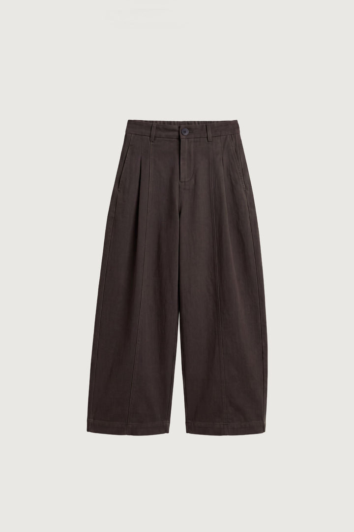 PETITE RELAXED PLEATED WIDE LEG PANT in Brown — alternate angle
