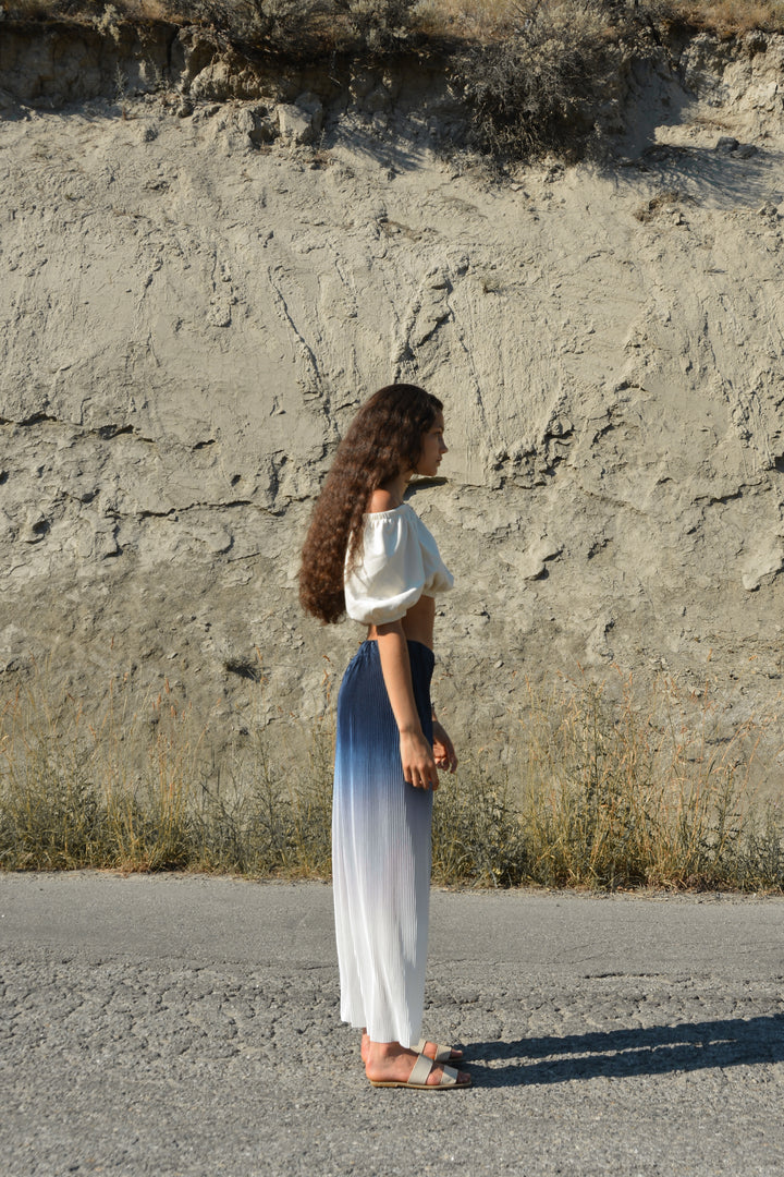 OMBRE PLEATED WIDE LEG PANT in Blue — alternate angle