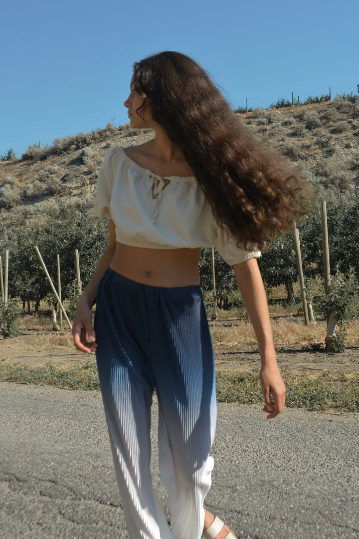 OMBRE PLEATED WIDE LEG PANT in Blue — alternate angle