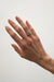 Panther link ring in silver — main image