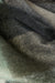 Plaid scarf in black plaid — main image