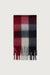 Patterned scarf with tassels in red navy check — main image