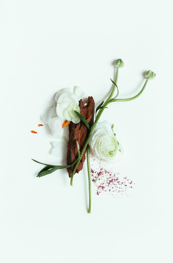 NATURAL BODY WASH BY CORPUS in Third Rose — alternate angle