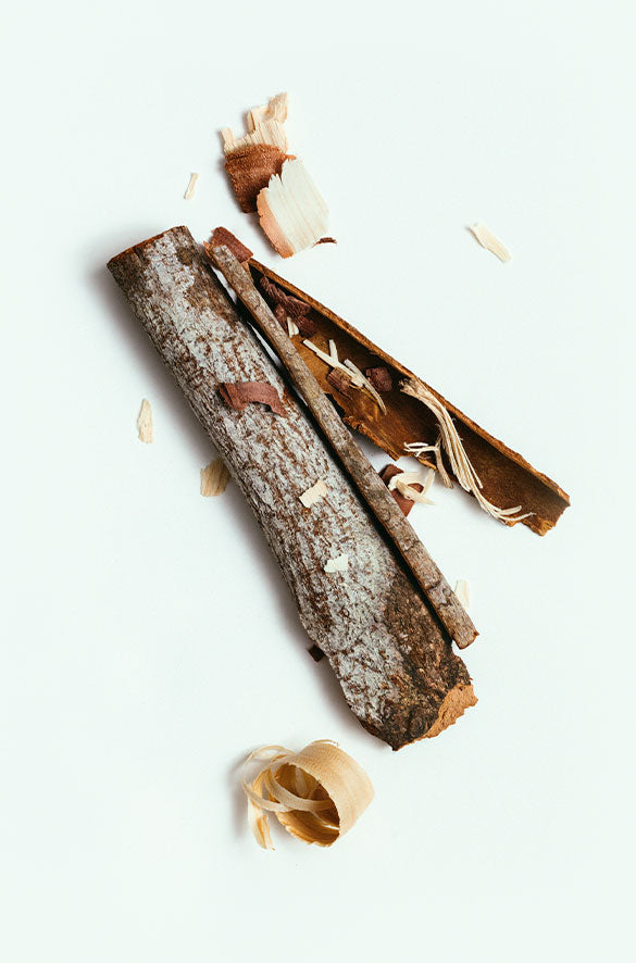 NATURAL BODY WASH BY CORPUS in Santalum — alternate angle