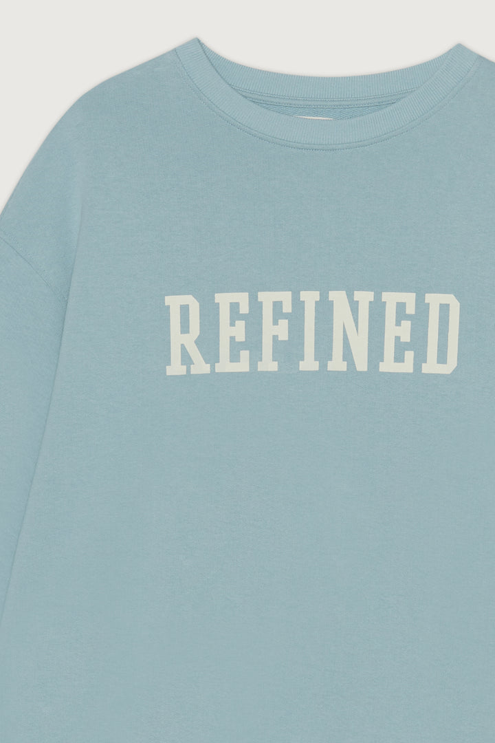 OVERSIZED GRAPHIC CREWNECK in Stone Blue — alternate angle