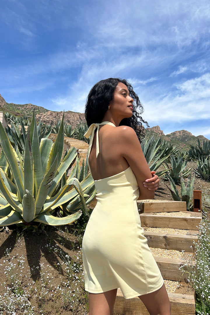 HALTER MINI DRESS in Mellow Yellow — alternate angle