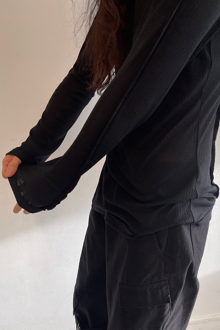 SHEER CREWNECK LONG SLEEVE TOP in Black — alternate angle