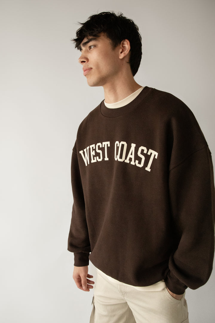 OVERSIZED GRAPHIC SWEATSHIRT in COFFEE BEAN E — alternate angle